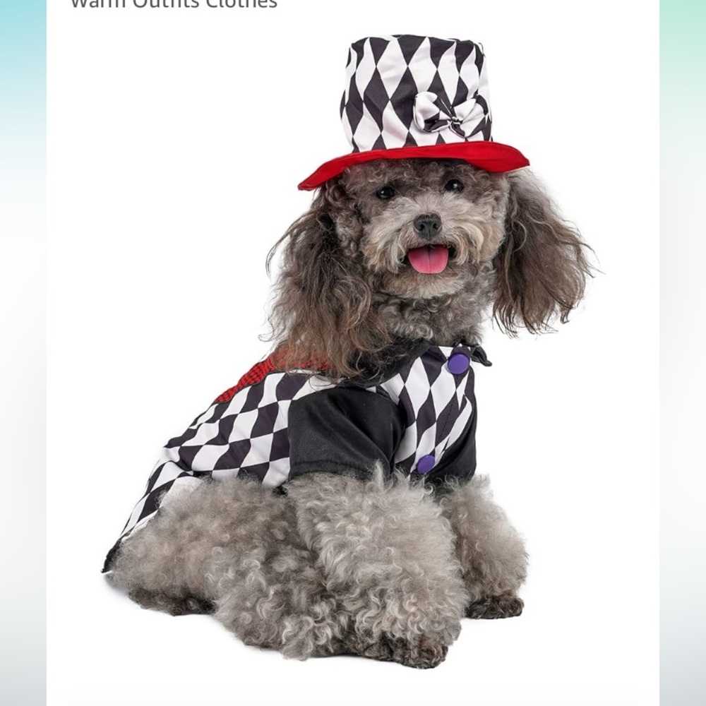 NEW Magician Dog Halloween Costume & Hat - For Small Breed